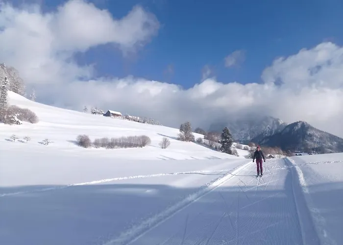 Hébergement de vacances Bergmann