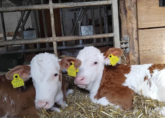Bergmann Hébergement de vacances Bad Aussee